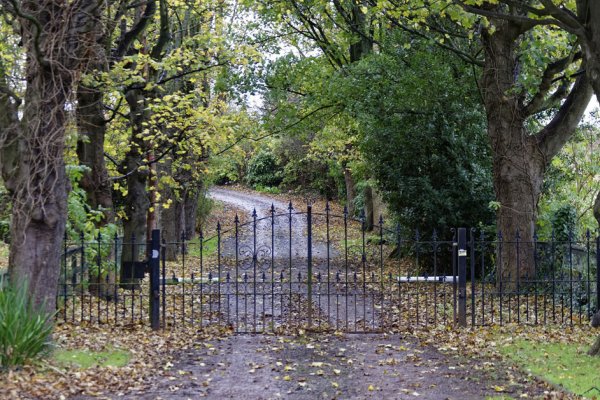 Black driveway swing gate with a tree-lined driveway.